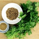 coriander