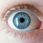 blue-eyes