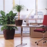 Office-with-plants