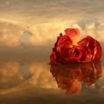 images (1)