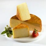 biological-cheese1
